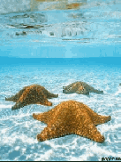 Море картинки