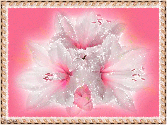 Белые лилии с сияющими лепестками - Цветы анимация, картинка gif, анимированная открытка