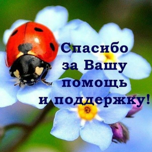 Картинка прикол спасибо за поддержку, подругам поздравление