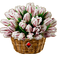 Букеты картинки