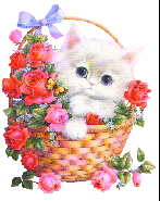 Коты, кошки, котята картинки