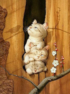 Весенние котики - Кошки анимашки