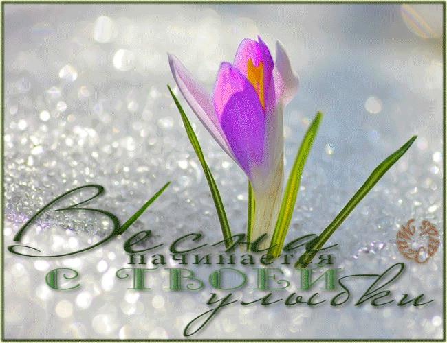 Поздравляю с первым весенним праздником. Весенние открытки. С первым днем весны. Поздравление с весной.