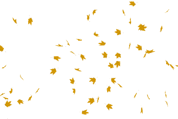 Анимация листья на прозрачном фоне. Анимация листья падают на прозрачном фоне. Листья анимация на прозрачном фоне. Анимация падающих листьев. Осенние листья анимация на прозрачном фоне.