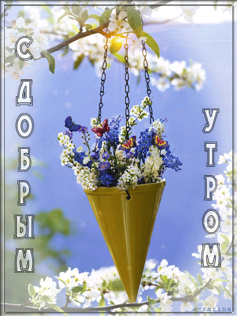Солнечного утра~Доброе утро