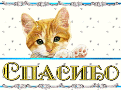 Кот говорит спасибо. Кот благодарит за внимание. спасибо за внимание кошечка. благодарю за внимание котик. котик спасибо.