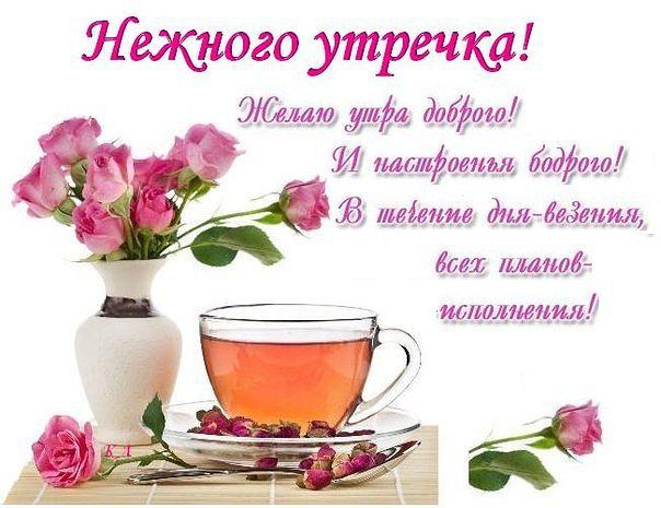 Похожее изображение