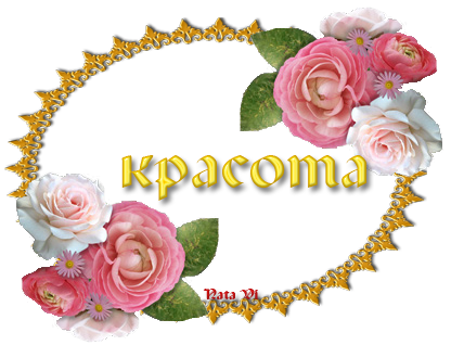 Картинки с словом красота