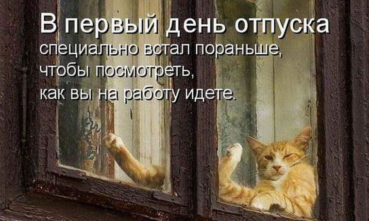 Рисунки футболках, картинки с 1 днем отпуска прикольные