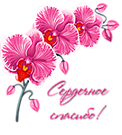 Огромное спасибо! Орхидеи картинки смайлики