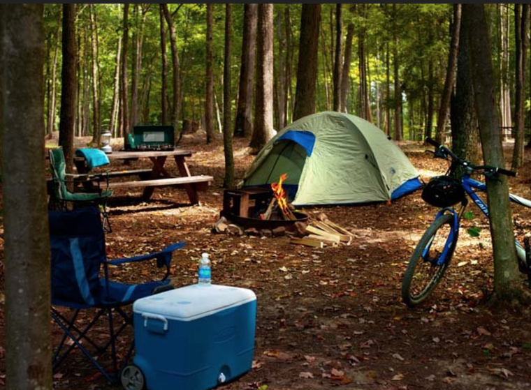 Making camping. Поход с палатками. Палатка в лесу. Велосипедный туризм с палаткой. Велотуризм с палатками.