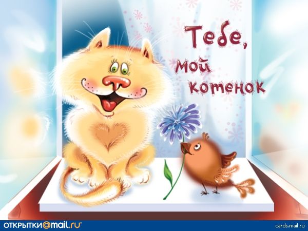 Картинки по запросу анекдоты про валентинов день