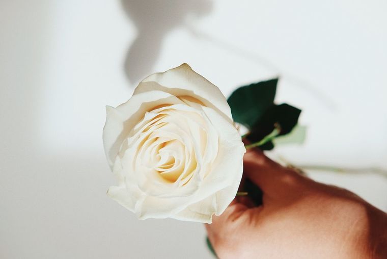 Белые розы в руках. Белые цветы в руках.