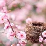 Цветы весенние смайлики гифки анимации