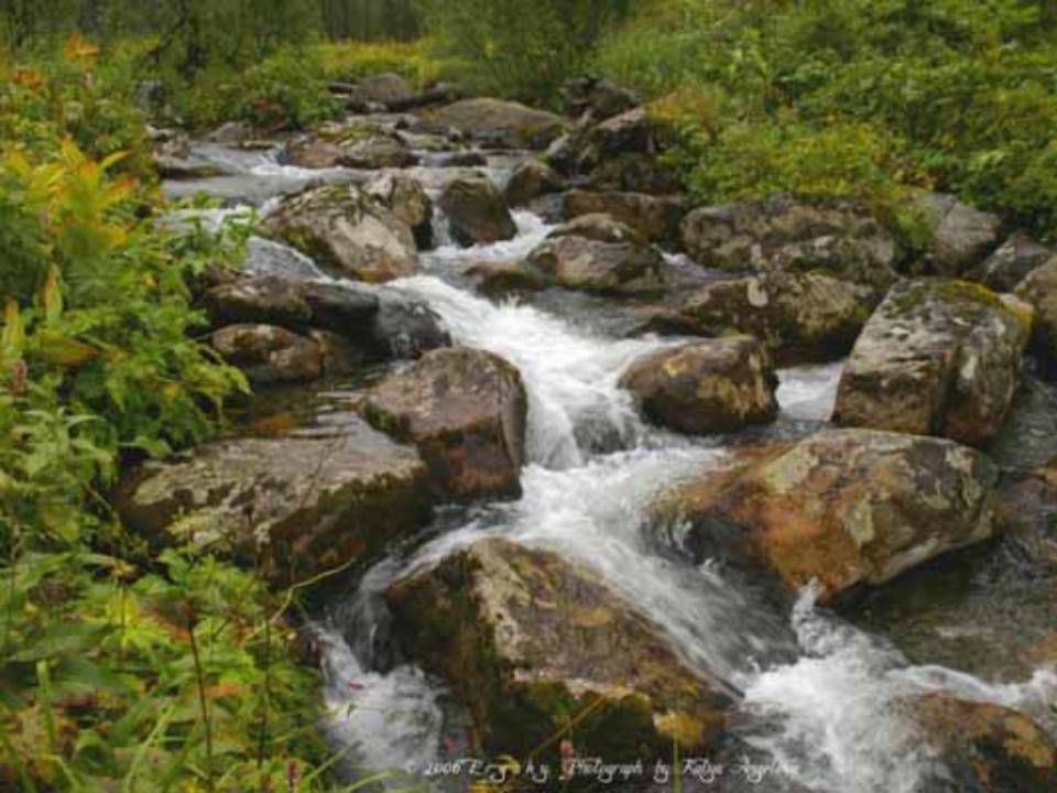 Родники златоуста. Живой родник краснодарский край. Лесные родники. Студеный ключ. Ручей филимоновский родник.