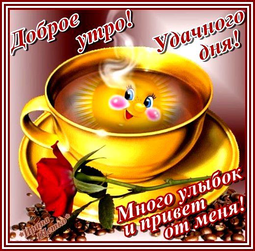 Картинки по запросу с добрым утром и прекрасного настроения