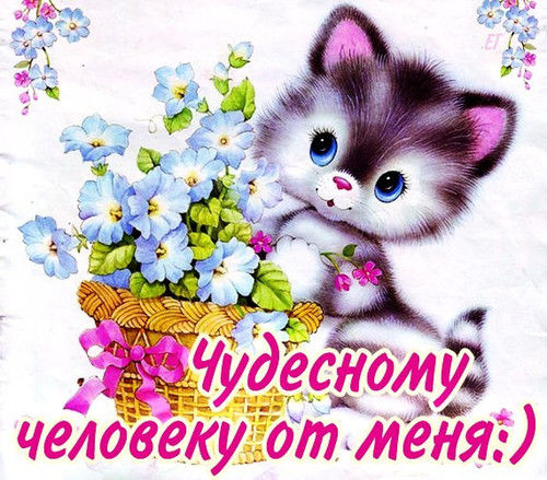 Друзьям картинки