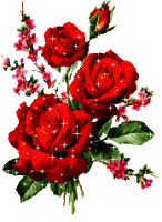 Букетик роз - Цветы картинки