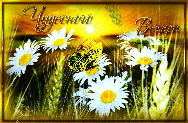 Чудесного вечера~Добрый вечер