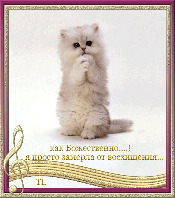 Прикольный рисунок, картинки с надписью я восхищаюсь тобой